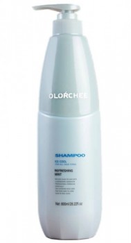 Olorchee Ice Cool Shampoo (Шампунь для всех типов волос), 800 мл