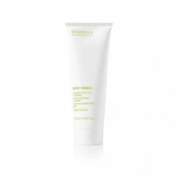 Vagheggi Bright Formula Regenerating Brightening Mask - Pigment Equalizer (Маска для сияния Эквалайзер), 250 мл
