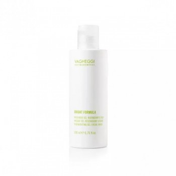 Vagheggi Bright Formula Regenerating Gel Facial Mask (Регенерирующая маска), 200 мл