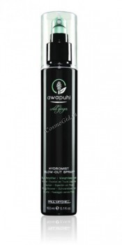 Paul Mitchell Hydromist blow-out spray (Увлажняющий спрей для укладки волос)