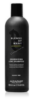 Alfaparf Energizing Low Shampoo (Деликатный энергетический шампунь), 250 мл