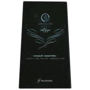 Paul Mitchell Awapuhi wild ginger essential kit (Набор средств с кератином и авапуи), 1 шт.