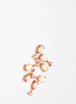 Revitalising Capsules (Восстанавливающие капсулы для лица)