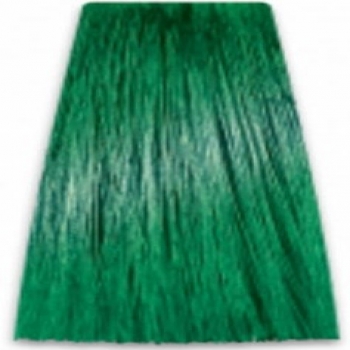 Prosalon Intensis Color Art Permanent Color Cream (Краска для волос), 100 мл
