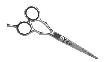 Teotema Scissors 5,5 (Ножницы 5,5 (2 герба)