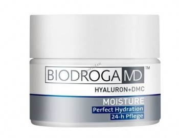 Biodroga Perfect Hydration 24-h Care (Крем-уход «Идеальное увлажнение» 24 часа)