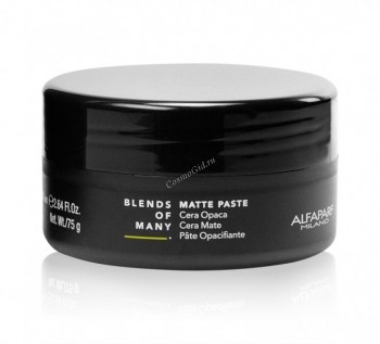 Alfaparf Matte Paste (Матовая паста средней фиксации), 100 мл