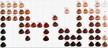 Top Color (Cтойкая крем-краска для волос Top Color), 100 мл