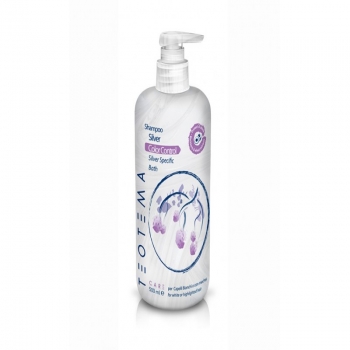 Teotema «Silver» for grey hair shampoo (Шампунь «Серебряный»)