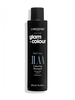 Steel Grey.11.AA Shampoo (Шампунь для придания стального оттенка волосам), 250 мл