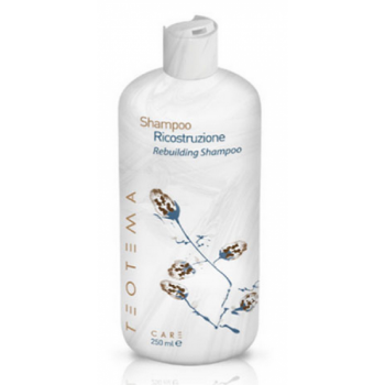 Teotema Shampoo ricostruzione rebuilding (Восстанавливающий шампунь)